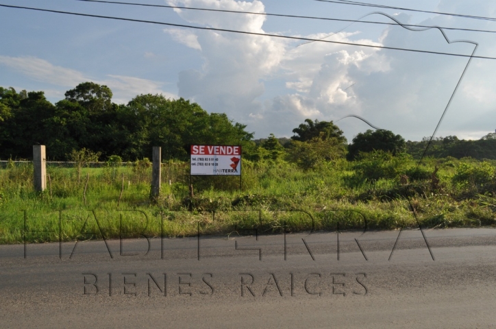 Doomos. Terreno en venta sobre la Carretera a Cobos, Tuxpan Veracruz.