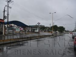 #LR-835 - Local comercial para Renta en Túxpam - VZ